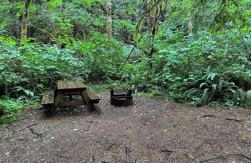 Forks RV Rental | Primitive Tent Site #10- Beautiful Forested Property