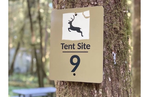 Forks RV Rental | Primitive Tent Site #9- Beautiful Forested Property