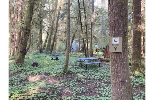 Forks RV Rental | Primitive Tent Site #9- Beautiful Forested Property
