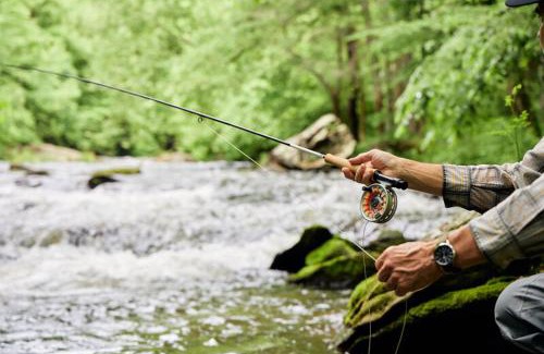 Meadows Of Dan Resort | Primland Resort, Auberge Collection