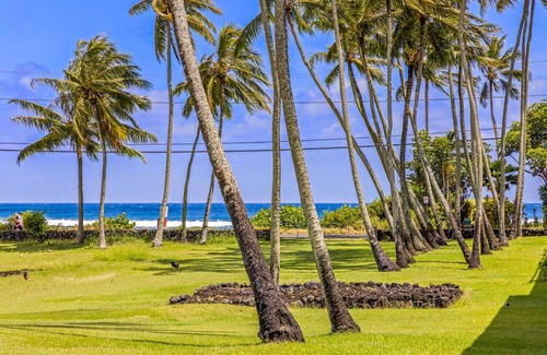 Poipu Apartment | Prince Kuhio 133. Sweet Studio across the street from the Ocean