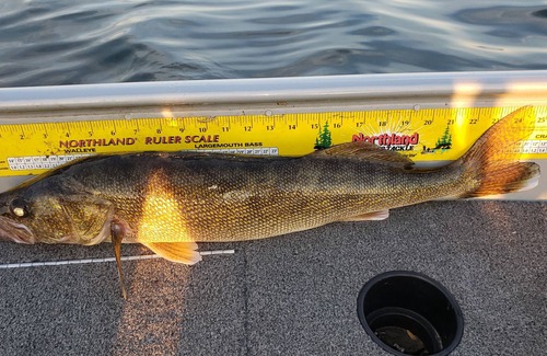 Osakis RV Rental | Private 1 acre campsite on Lake Osakis!