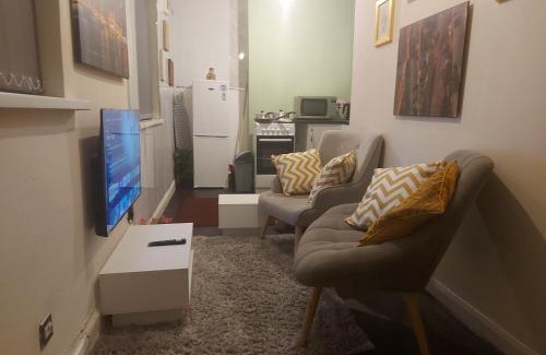 Birmingham Apartment | Private 1 Bed Flat Near The Aston Villa Park