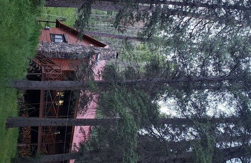 Jemez Springs House | Private Jemez cabin near Fenton Lake
