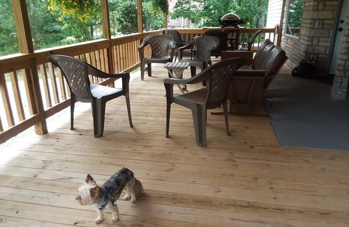 Mountain Home House | Private/NICE Large Cabin on 3/4 Acre. Huge Covered Porch. Wheelchair Access