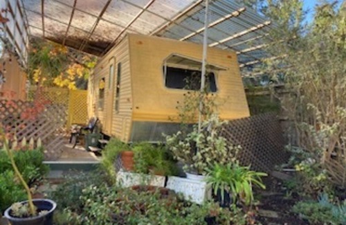 Sebastopol Resort | Private room ∙ 1 guest