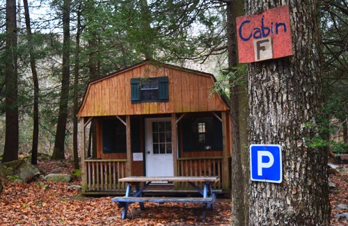 Elk Garden Cabin | Private, Rustic Cabin Situated Near Hiking, Abrams Creek and Beautiful Scenery