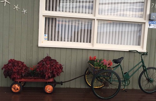 Ocean Bay Park Condo | Privately Owned Condo At The Seashore Condo-Hotel