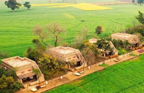 Kottli Sainian House | Punjab Village Farm near Amritsar