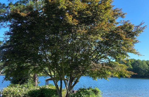 Olivia House | Put your feet up, relax and unwind on the screened porch or go jump in the lake!
