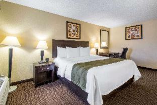 Daytona Beach Hotel | Quality Inn Daytona Speedway - I-95