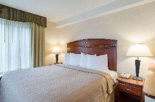 Northampton Hotel | Quality Inn & Suites Northampton - Amherst