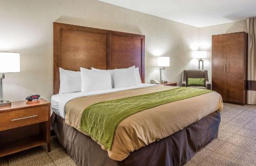 Summerville Hotel | Quality Inn Summerville-Charleston