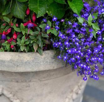 Berwick-upon-Tweed Hotel | Queens Head Hotel