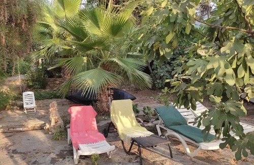 Guvercinlik House | QUIET AND AUTHENTIC BODRUM HOUSE BY THE SEA!