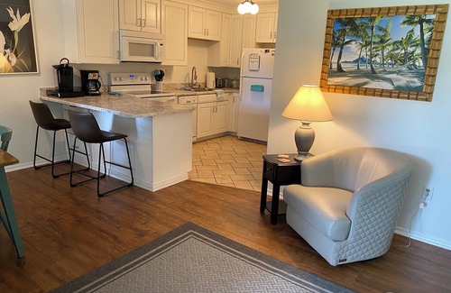 Mount Dora House | Quiet and peaceful yet walk to Charming Downtown MT. Dora