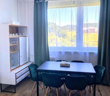 Roznov Pod Radhostem Apartment | Quiet apartment in Rožnov p R Homestay