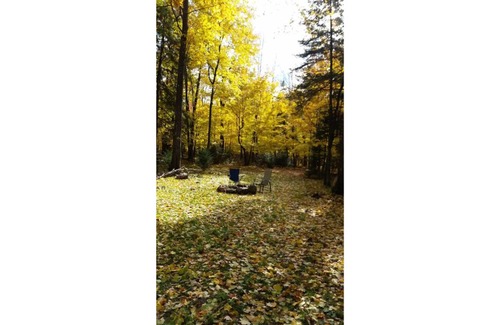 Pine County Cabin | Quiet cabin in the woods
