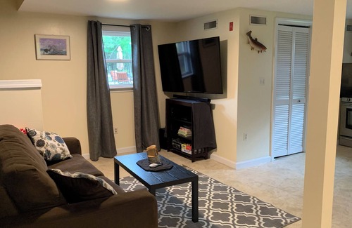 Belfast Cabin | Quiet Cottage in the Pines, close to downtown Belfast and Swan Lake