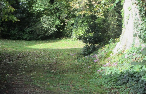 Villons-les-Buissons Cottage | Quiet house between Caen and the sea in the private grounds of a manor house.