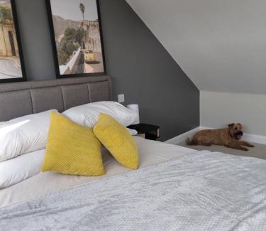 Cotham House | Quiet Loft Room