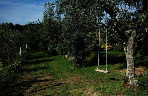 Seia House | Quinta de Vodra