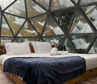 Angra do Heroismo Cabin | Quinta do Abacate - Glamping Park