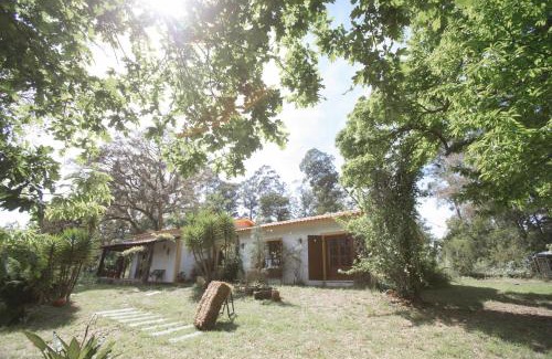 Alquerubim House | Quinta do Vale Grande