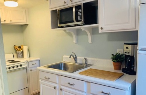Downtown Dunedin Apartment | Quintessential II Downtown Dunedin Spacious Apartment