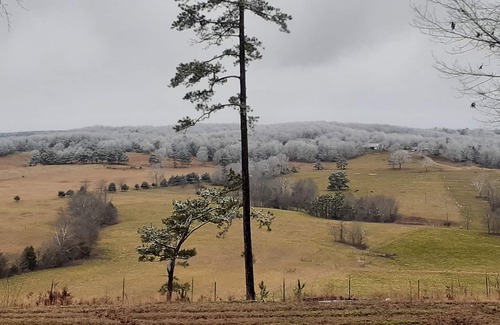 Licking House | Quite beautiful pine forest vista overlooking the Big Piney River.