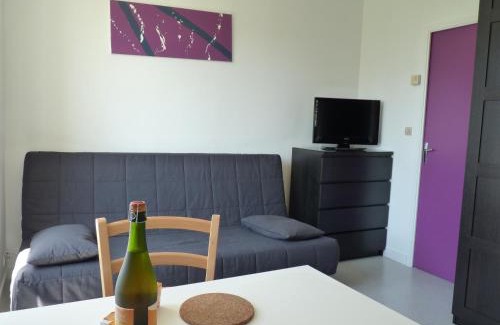 Downtown Apartment | Résidence Albert Premier