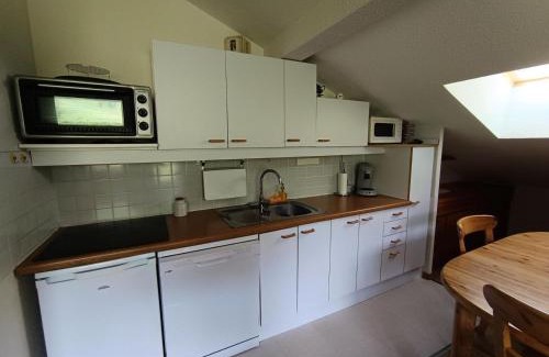 Montgenevre Apartment | Résidence Ferme D'augustin - Batiment D - Grand appartement 8 personnes sur les pistes MAE-8274