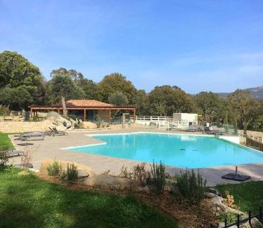 Porto-Vecchio Apartment | Résidence Standing Domaine d Arca