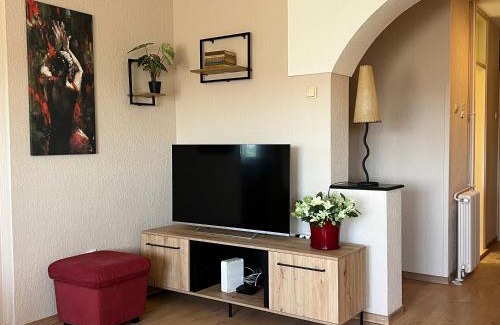Nis Apartment | R&R apartment Medak 3
