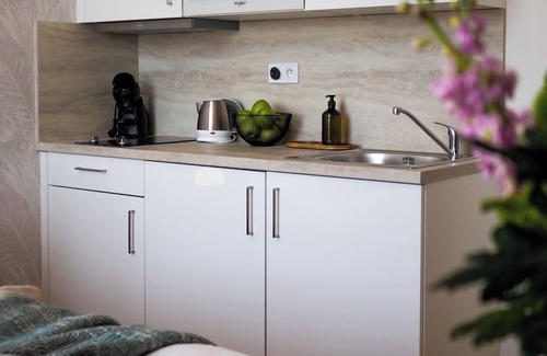 Nove Mesto Apartment | Rašínovo nábřeží - Riverside Residence