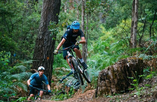 Margaret River Resort | RAC Margaret River Nature Park