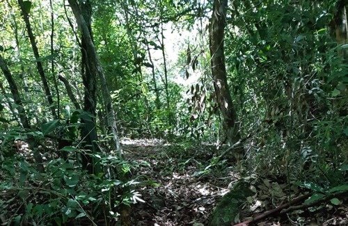 Santa Terezinha do Itaipu Cottage | Racho Recanto Arroio Apepú