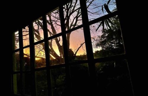 Escazu Apartment | Rainforest Cabin in Escazu