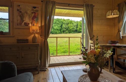 Holsworthy House | Raleigh Lodge - high quality lodge in secluded meadow
