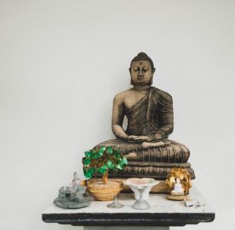Bandaranayake Resort | Rama Shala - Home of the flying Yogis