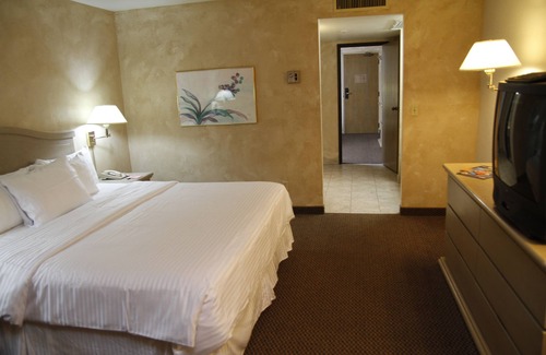 Tucson Hotel | Ramada by Wyndham Viscount Suites Tucson East