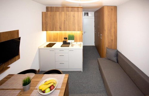 Kopaonik Apartment | Ramonda apartman Vila Bela Reka 50m from Gondola - free parking acces