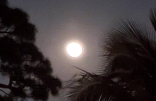 Clewiston House | RANCHO LOS PINOS THE GREATEST PLACE AWAY FROM HOME