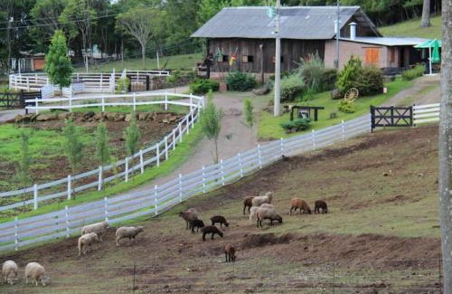 Nova Petropolis Villa | Rancho VSS Cabana da Montanha 1
