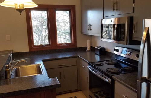 Roseland Condo | RARE 3B/2B Mountain Top Condo Walk to the Slopes and Resturants! Slope Views!