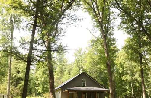 Baldwin Cabin | Rare Modern 3-bedroom cabin in Baldwin