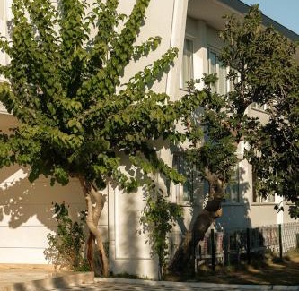 Lara Hotel | RAW BEACH HOTEL