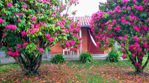 Goncalves Cabin | Recanto da Natureza, chalé