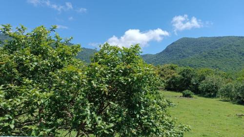 Alto Ribeirao Apartment | RecantodoRibeirão