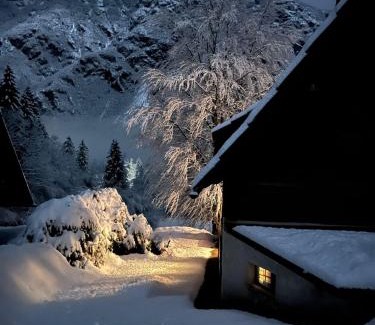 Ukanc Ski Chalet | Red Beech Cabin - Lake Bohinj & Triglav National Park retreat